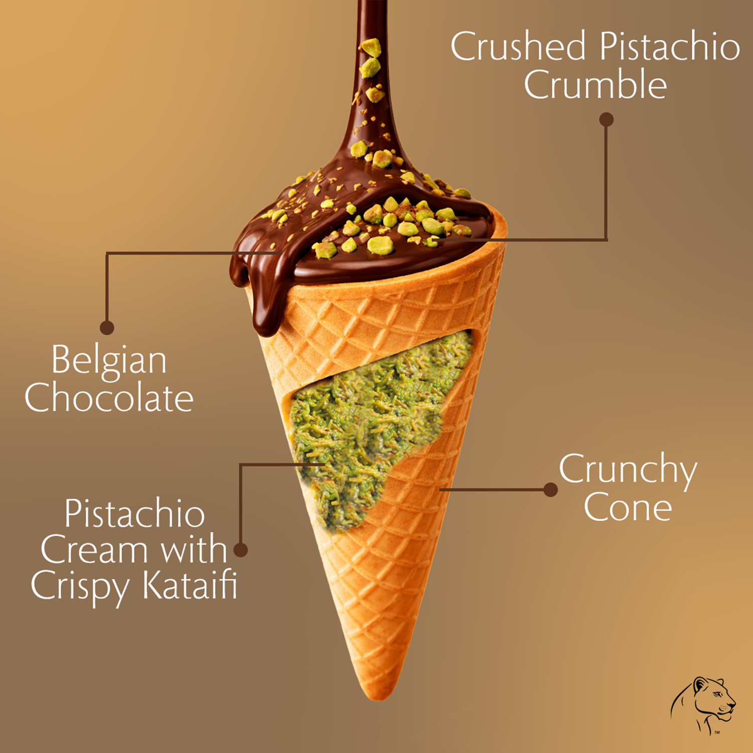 Leonessa Dubai Chocolate Cones - Gable Box